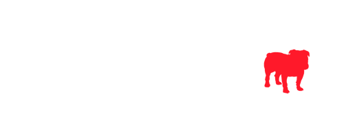 bullguard