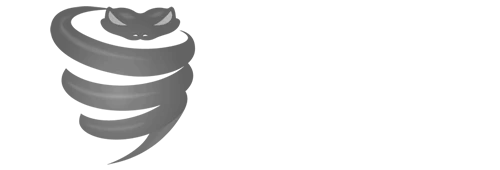 vyprvpn Logo